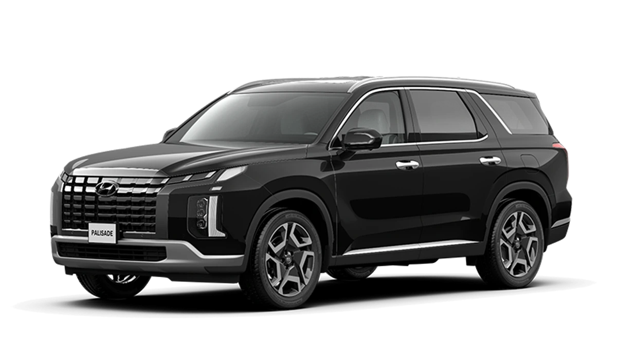 Hyundai Palisade Vũng Tàu