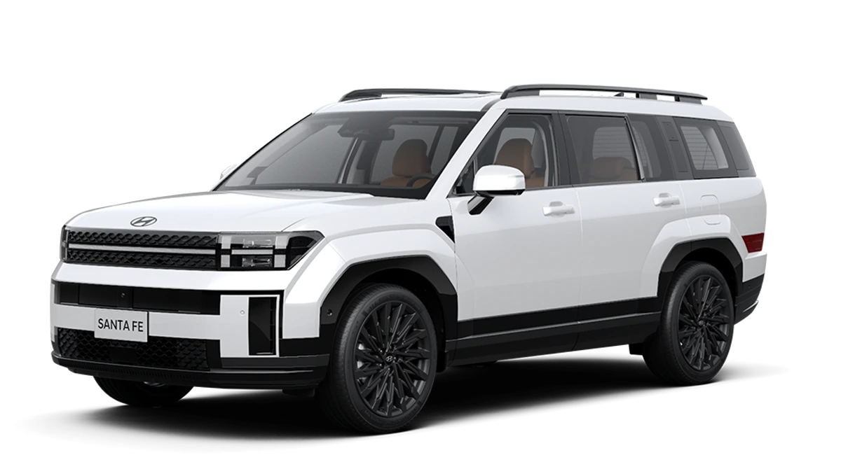 Hyundai Santafe Vũng Tàu